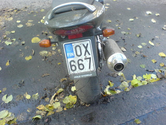 OX-667